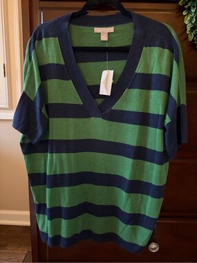 Banana Republic Ribbed V-Neck Sweater in Navy & Green